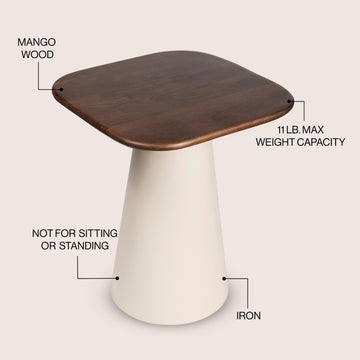Skye 18" Modern Rustic Wood/Metal Accent Table